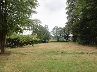 Picture 27